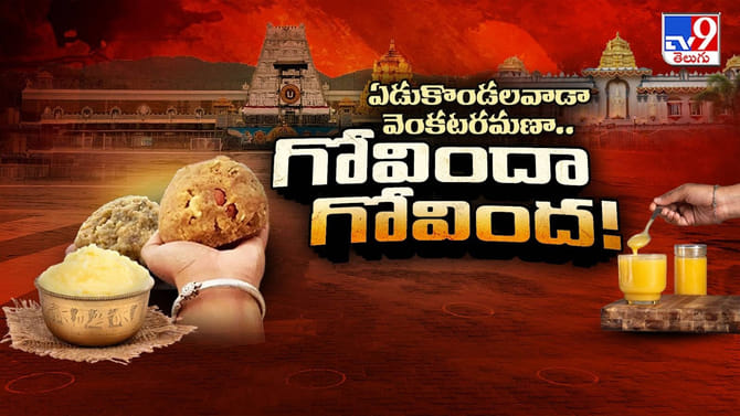 తిరుమల: అదసలు నెయ్యే కాదు.. కంప్లీట్ కల్తీ