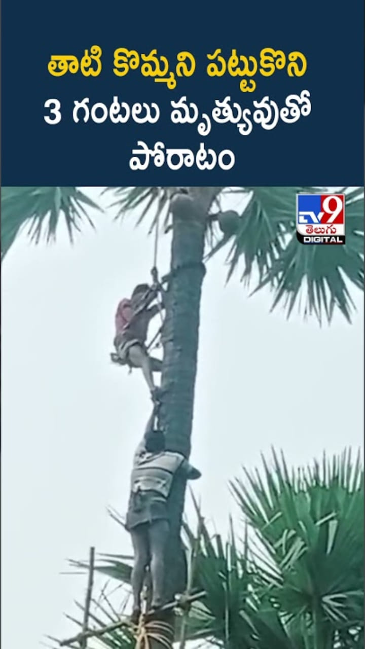 Miraculous Escape: తాటి చెట్టుపై 3 గంటలు మృత్యువుతో పోరాటం