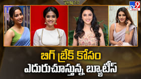 బిగ్ బ్రేక్ కోసం ఎదురుచూస్తున్న బ్యూటీస్