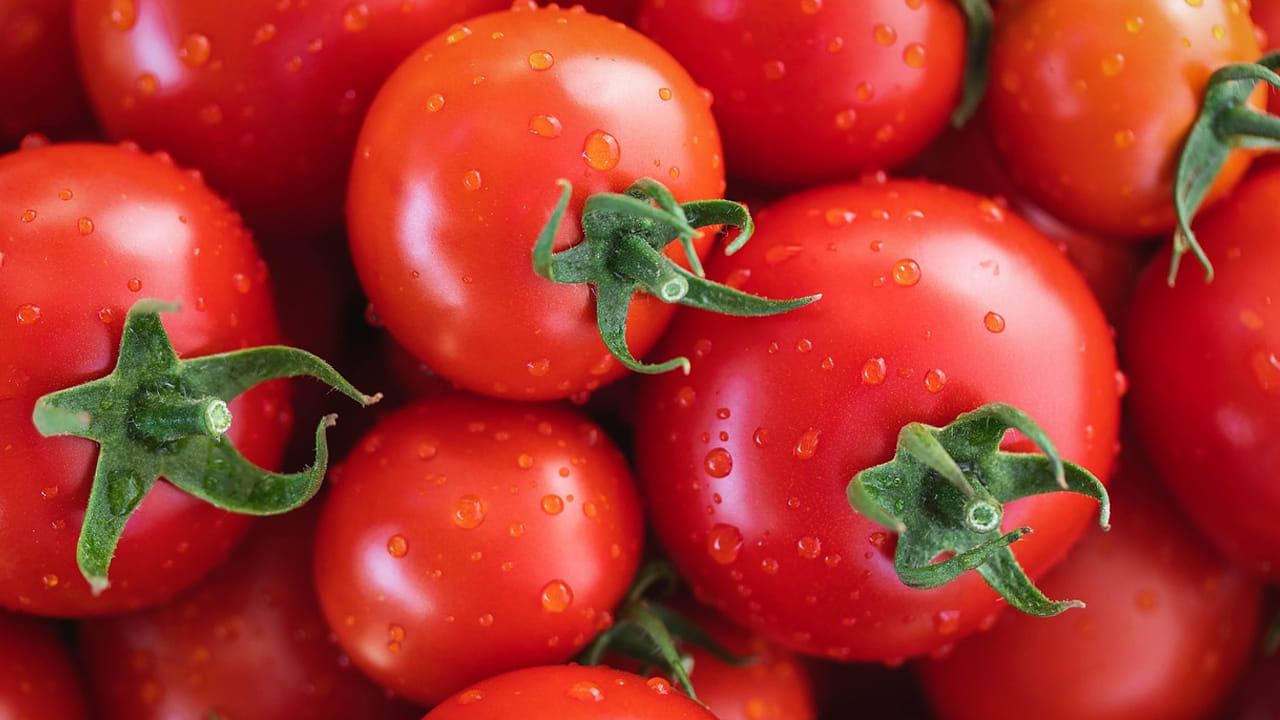 అయితే, ఇది కొంత వరకు ఓకే కానీ, టమాటాలను అతిగా తినొద్దని నిపుణులు కూడా చెబుతున్నారు. దీని మీద పరిశోధనలు చేసి నమ్మలేని నిజాలను వెల్లడించారు. అవేంటో ఇక్కడ తెలుసుకుందాం..  
