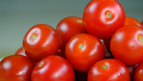 ధర తక్కువ అని టమాటాలు తినేస్తున్నారా.. కానీ, వారికీ మాత్రం డేంజర్