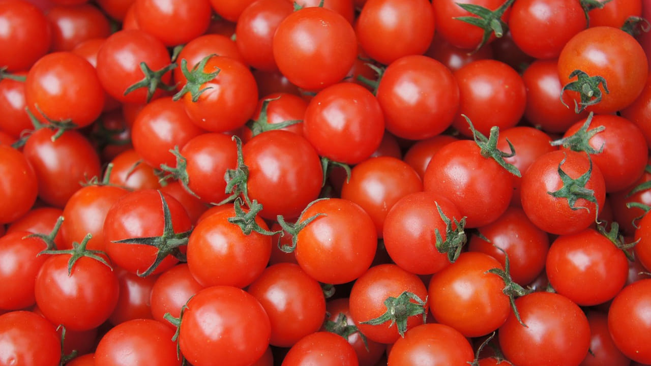 
కొందరికి రక్తం గడ్డకట్టదు. అలాంటి వాళ్ళు మందులు ఉపయోగిస్తారు. వీటిని తినడం వలన ఆ మందులకు ఇది హాని చేస్తుంది. కాబట్టి, మీరు కూరల్లో వేసుకునేటప్పుడు కూడా ఎక్కువగా వేసుకోకండి. 
