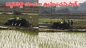 డ్రైవర్ లేకుండానే పొలం దున్నిన ట్రాక్టర్.. తీరా దగ్గరికి వెళ్లి