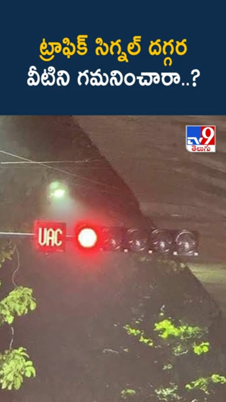 Traffic Signal: ట్రాఫిక్ సిగ్నల్ దగ్గర వీటిని గమనించారా..?