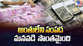 తాత చేసిన పనితో.. అంతులేని సంపద మనవడి సొంతం..!