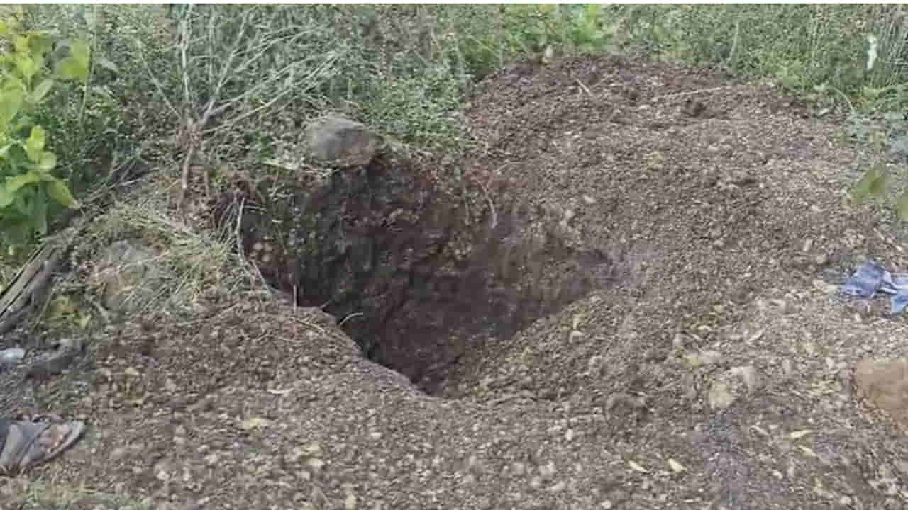 Telangana: తెల్లారి పొలంలో తల లేకుండా కనిపించిన భారీ ఆకారం.. ఏంటా అని వెళ్లి చూడగా