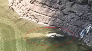 Telangana: మందుబాబులకు ఇక పూనకాలే.! బెస్ట్ బార్ల లిస్టు వచ్చేసిందిగా..