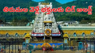 Andhra Pradesh: ఏపీ ప్రజలకు ప్రభుత్వం గుడ్‌న్యూస్.. సంక్రాంతికి కానుక అదిరిపోయింది.. పండుగ ఖర్చులు ఆదా