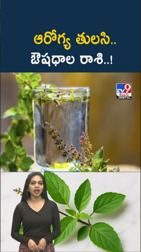 Tulasi Water: తులసి నీరు అమృతంతో సమానమని ఎందుకంటారో తెలుసా?