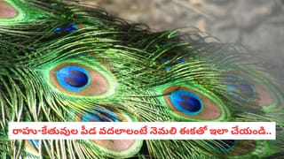 వసంత పంచమి వేళ ఆలయంలో హిందువులతో పాటు ముస్లింల ప్రార్ధనలు.. సుప్రీంకోర్టు కీలక ఆదేశాలు!