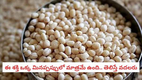 Urad Dal Benefits: ప్రోటీన్ల గని మన మినపప్పు! రోజూ తింటే మీ బాడీలో జరిగే మార్పులు ఇవే!