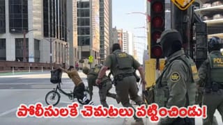 Viral Video: ఇట్ల తయారేంట్రా.. ఆఖరికి దుఖాణాల్లోని డస్ట్‌బిన్‌లనూ వదలరా… గుట్కా ప్రచారం చేసే సెలబ్రెటీలు ఇప్పుడేమంటారు..?