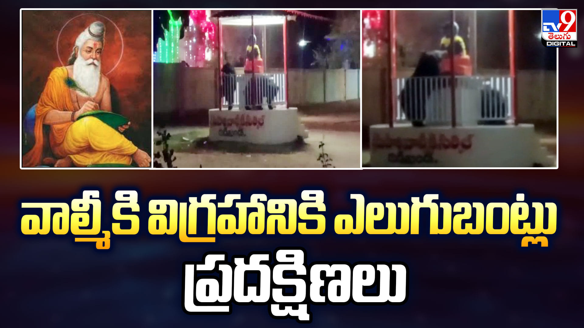 వాల్మీకి విగ్రహానికి ఎలుగుబంట్లు ప్రదక్షిణలు