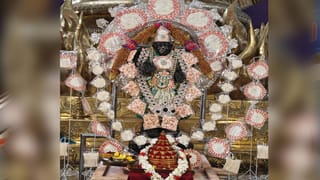 Viral Video: ఇన్‌స్టామార్ట్‌ యూనీఫాంతో ఇంటింటికీ.. డెలివరీ బాయ్‌గా మారిన ఈ ఎమ్మెల్యేను గుర్తుపట్టారా?