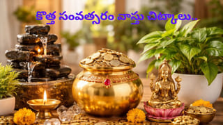 Vastu tips: తరచూ గొడవలా? మీ ఇంట్లో ఈ వస్తువులుంటే.. వెంటనే తీసేయండి