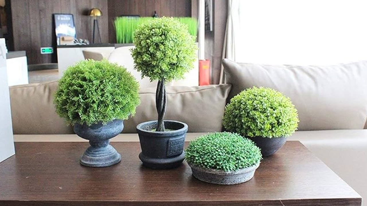 వాస్తు శాస్త్రం ప్రకారం ఇంటిలో ప్లాస్టిక్ పువ్వులు, మొక్కలు ఉండటం శుభప్రదం కాదంట, ఎందుకంటే వీటికి జీవం ఉండదు కాబట్టి ఇవి ఇంటిలో ఉండటం వలన ఇంటిలోనికి నిర్జీవ శక్తిని ఆకర్షిస్తాయంట. అంతే కాకుండా వీటివలన ఇంటిలోపల ప్రతికూల శక్తి పెరిగిపోతుందంట. అలాగే వీటిపైన మట్టి, దుమ్మ, ధూలి పేరుకపోయి అనారోగ్య సమస్యలకు కారణం అవుతుందంట.