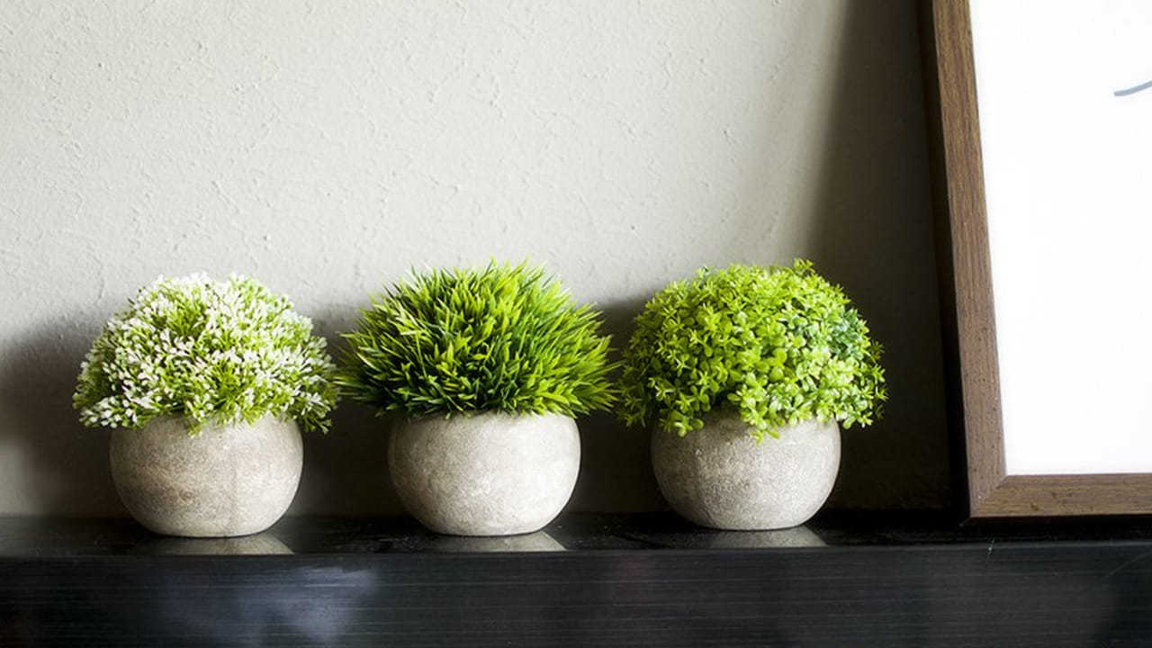 కృత్రిమ మొక్కలు ఇంటి స్వేఛ్చను హరించేస్తాయంట. ఇంటిలో ఆందోళనకర వాతావరణాన్ని సృష్టిస్తాయంట. అంతేకాకుండా ఇంటిలో వారిపై దీని ప్రభావం ఎక్కువగా ఉంటుందంట, ఇవి సోమరితనాన్ని ప్రేరేపిస్తాయంట. అందుకే వీలైనంత వరకు ఇంటిలోపల కృత్రిమ పూల మొక్కలు పెట్టుకోకపోవడం మంచిదని చెబుతున్నారు వాస్తు శాస్త్ర నిపుణులు.