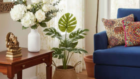 ఇంటిలో ప్లాస్టిక్ మొక్కలు పెట్టొచ్చా? వాస్తు ఏం చెబుతోందంటే?