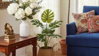 అమ్మాయిలూ సంక్రాంతికి ముగ్గులు చూస్తున్నారా.. ఇదిగో ఈ ట్రెండీ డిజైన్స్ ట్రైచేయండి!