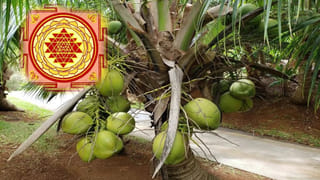 ఆడపిల్లలు ఇంటి గడప పై కూర్చోకూడదు అంటారు.. ఎందుకో తెలుసా?