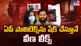 ఏపీ పాలిటిక్స్ ను షేక్ చేస్తూనే వీణ లీక్స్