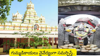 Jaya Ekadashi: జయ ఏకాదశి ఉపవాసం ఉంటున్నారా..? ఈ తప్పులు అస్సలు చేయకండి