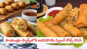 సాయంత్రం స్నాక్స్‌లోకి అదిరిపోయే స్ప్రింగ్ రోల్స్ రెసిపీ