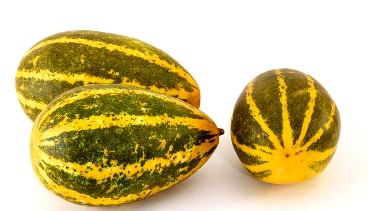 దోస కాయలు : దోస కాయలు నార్మల్ గానే గట్టిగానే ఉంటాయి. బయట ఉన్నా కూడా ఫ్రెష్ గానే ఉంటాయి. దీనిలో నీటి ఎక్కువగా ఉంటుంది అదంతా డ్రైగా మారి రుచిని కోల్పోయి పాడైపోతాయి.కాబట్టి , వీటిని ఫ్రిజ్‌లో పెట్టకపోయినా పర్లేదు. 