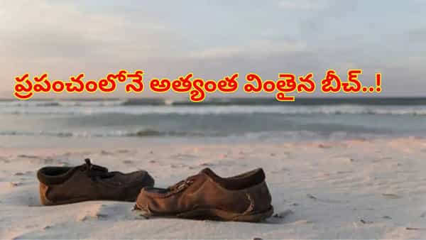 ప్రపంచంలోనే అత్యంత వింతైన బీచ్..! చేపలు, గవ్వలు, పీతలు లేని ప్రదేశంలో వింత దృశ్యం!