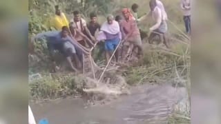 Optical illusion: దమ్ముంటే కాస్కో.. ఈ చిత్రంలో 41ల మధ్యనున్న 14ను 4 సెకెన్లలో గుర్తిస్తే.. నువ్వే తోపు!