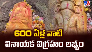 Viral Video: ఏం టాలెంట్ గురూ.  అద్భుతమైన బైక్.. ట్రాక్టర్ వీల్, ఇంజిన్‌కు బదులుగా జనరేటర్..!
