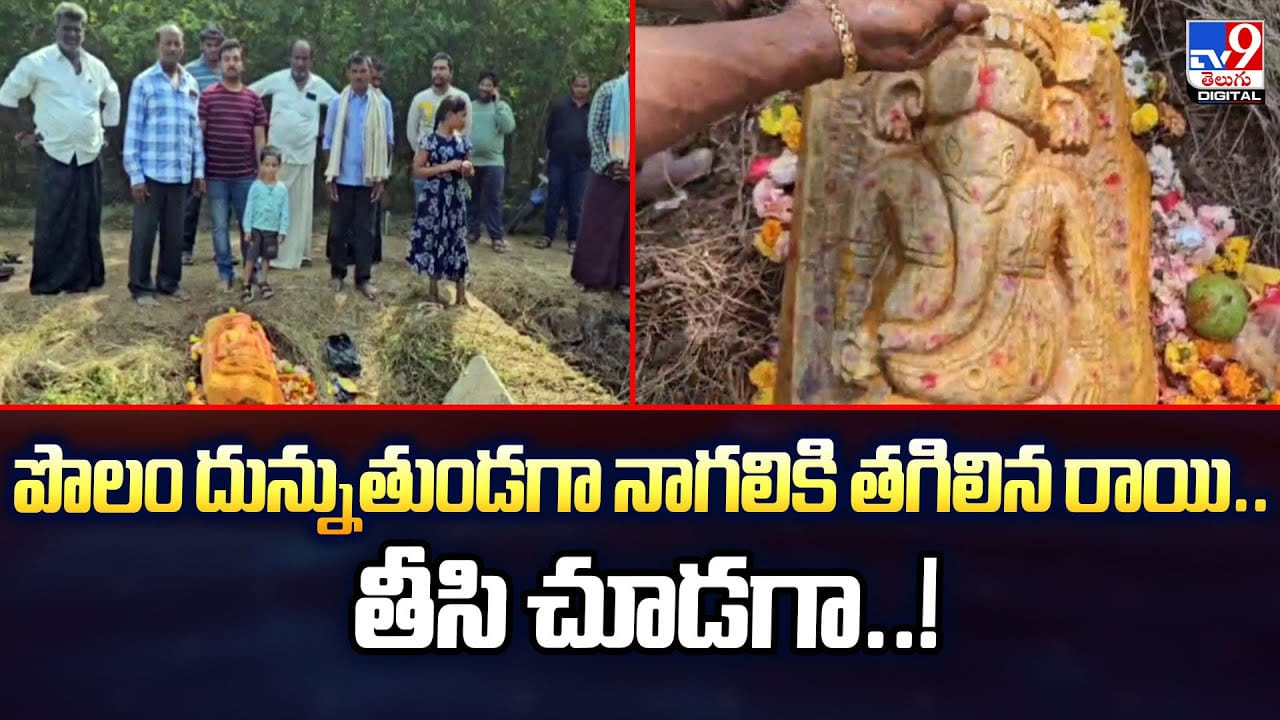 పొలం దున్నుతుండగా నాగలికి తగిలిన రాయి.. తీసి చూడగా..!