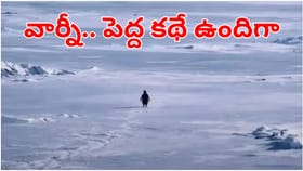ఇన్‌స్టాలో ట్రెండ్ అవుతున్న పెంగ్విన్ వీడియో.. దాని వెనుక ఉన్న