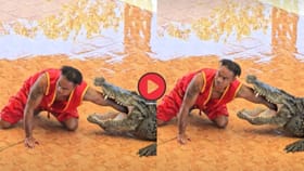 Viral Video: మొసలి నోట్లో చేయి పెట్టాడు.. ఆ తర్వాత షాకింగ్ సీన్..