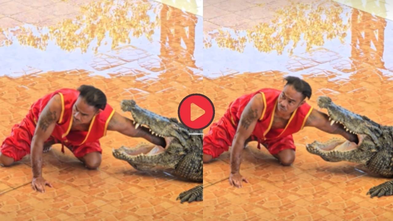 Viral Video: మొసలి నోట్లో చేయి పెట్టాడు.. ఆ తర్వాత షాకింగ్ సీన్..!