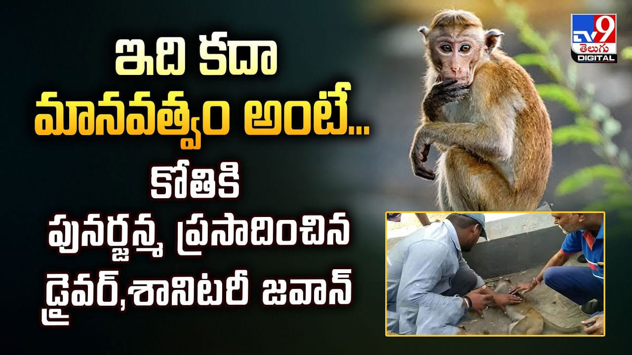 ఇది కదా మానవత్వం అంటే..కోతికి పునర్జన్మ వీడియో