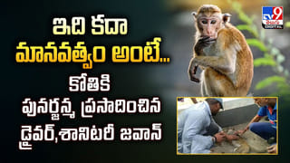 రీల్స్‌ కోసం పట్టాలపై పడుకున్న.. సాహస యువకుడికి ‘సన్మానం’వీడియో