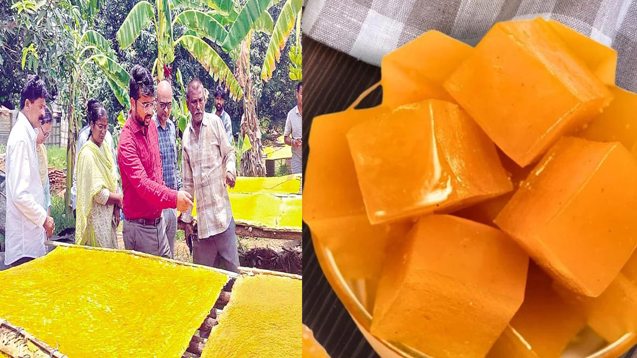 Andhra Pradesh: భీమాళి మామిడి తాండ్రకు ప్రత్యేక గుర్తింపు.. రైతులకు అండగా సర్కార్ సరికొత్త ప్లాన్..