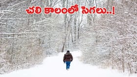 శీతాకాలంలోనే సెగలు సృష్టించబోతున్న సూర్యుడు..!