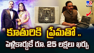 ప్రమాదంలో పిల్ల కోతి.. హైటెన్షన్‌ వైర్లను లెక్కచేయని తల్లి