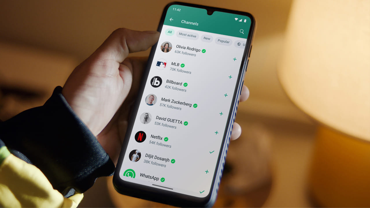 ఫేస్‌బుక్, ఇన్‌స్టాగ్రామ్ వంటి ఇతర ప్లాట్‌ఫామ్‌ల మాదిరిగానే, వాట్సాప్ ద్వారా డబ్బు ఆర్జించడానికి మెటా అనేక మార్గాలను అన్వేషిస్తోంది. వాట్సాప్ నిర్వహణ ఖర్చును తిరిగి పొందడానికి ఇది ఉపయోగపడుతుంది. వాట్సాప్ ప్రస్తుతం భారతదేశంలో దాదాపు 800 మిలియన్ల మంది వినియోగదారులను, ప్రపంచవ్యాప్తంగా దాదాపు 2.8 బిలియన్ల మంది యూజర్లను కలిగి ఉంది, ఇది కంపెనీకి గణనీయమైన ఆదాయ అవకాశంగా మారింది.