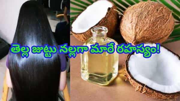 White Hair: కెమికల్స్ లేకుండా తెల్ల జుట్టు నల్లగా మారాలా? ఈ సింపుల్ చిట్కా ట్రై చేయండి!