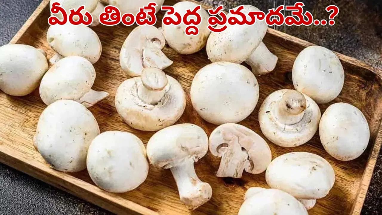 వీరికి పుట్టగొడుగులు విషంతో సమానం.. తింటే ప్రాణాలకే రిస్క్.. ఈ విషయాలు పక్కా తెలుసుకోండి..