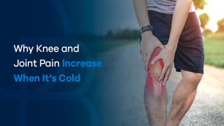 Pumpkin Seeds: గుమ్మడి గింజలతో ఎన్ని లాభాలో తెలుసా? తినకుంటే మీకే నష్టం!