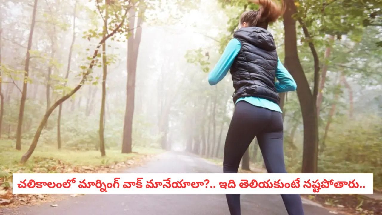 Morning Walk: బీపీ, షుగర్ ఉన్నవారు చలిలో నడిస్తే ఏమవుతుంది? చలికాలపు వ్యాయామంపై డాక్టర్ల కీలక హెచ్చరిక!