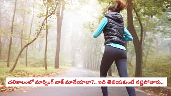 Morning Walk: బీపీ, షుగర్ ఉన్నవారు చలిలో నడిస్తే ఏమవుతుంది? చలికాలపు వ్యాయామంపై డాక్టర్ల కీలక హెచ్చరిక!