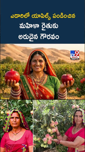 Santosh Devi: ఎడారిలో యాపిల్స్, దానిమ్మ పండించిన మహిళా రైతు..!