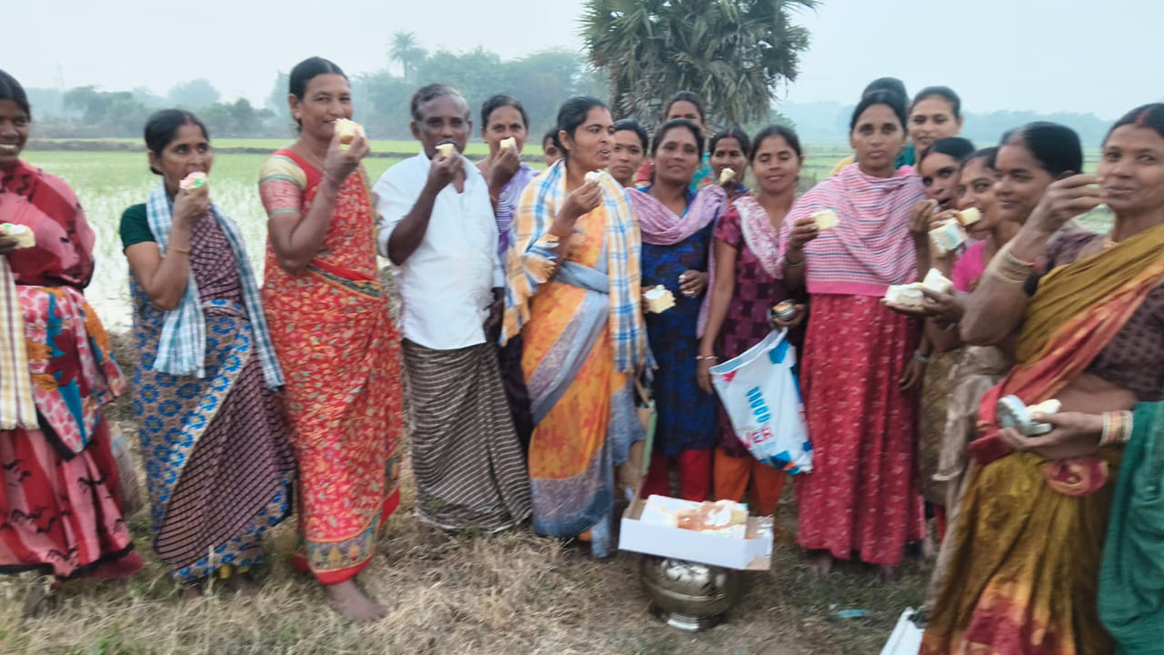 మట్టి వాసనతో నిండిన పొలాల్లో, చిరునవ్వుల కాంతితో నిండిన ముఖాల్లో కొత్త సంవత్సరం వేడుకలతో ఆనందాలు వెల్లివిరిశాయి. రోజంతా ఎండలో పనిచేసిన తర్వాత కలిసి కూర్చొని కేక్ కట్ చేయడం ఒకే కుటుంబ వాతావరణాన్ని తీసుకొచ్చిందని కూలీలు చెబుతున్నారు.