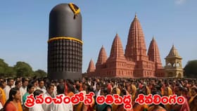 ప్రపంచంలోనే అతిపెద్ద శివలింగం ఇదే..!
