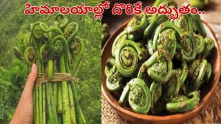 Black Rice Benefits: నల్ల బియ్యం ఎప్పుడైనా తిన్నారా.. ప్రయోజనాలు తెలిస్తే.. అస్సలు వదలరు!